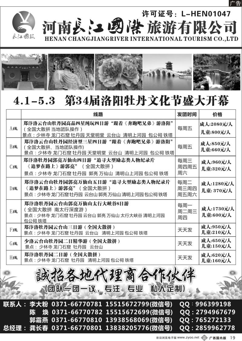 b19河南长江国旅---专业地接  4月牡丹花会