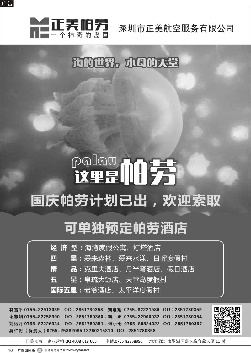 r16正美帕劳-澳门飞鸟