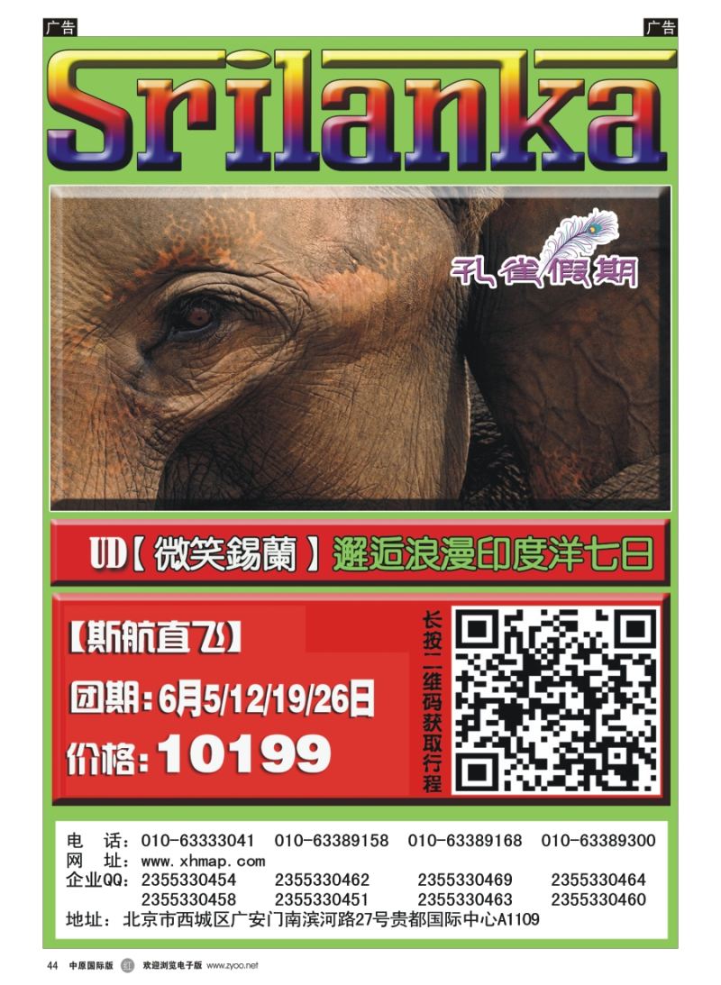 r044 孔雀假期