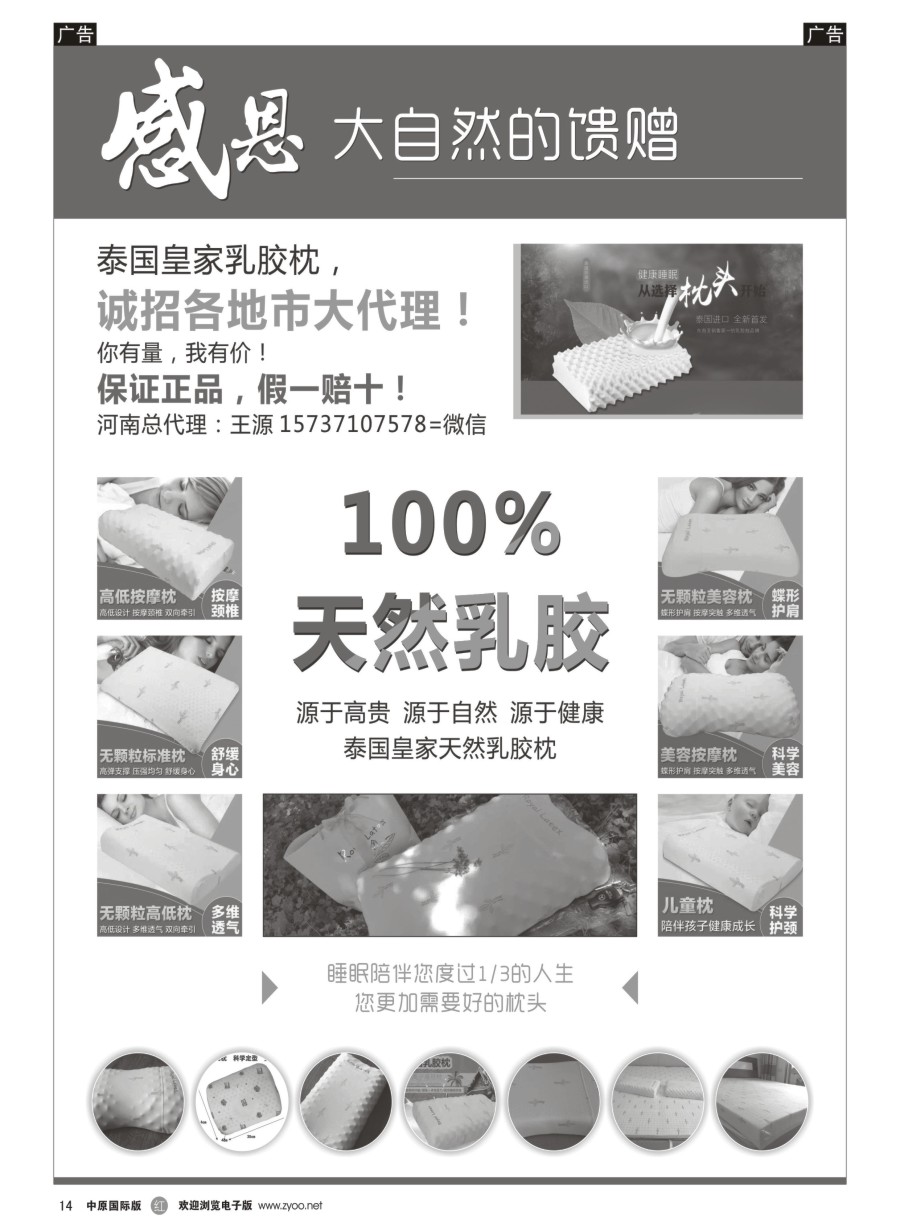 r014  泰国皇家乳胶枕—诚招各地市大代理