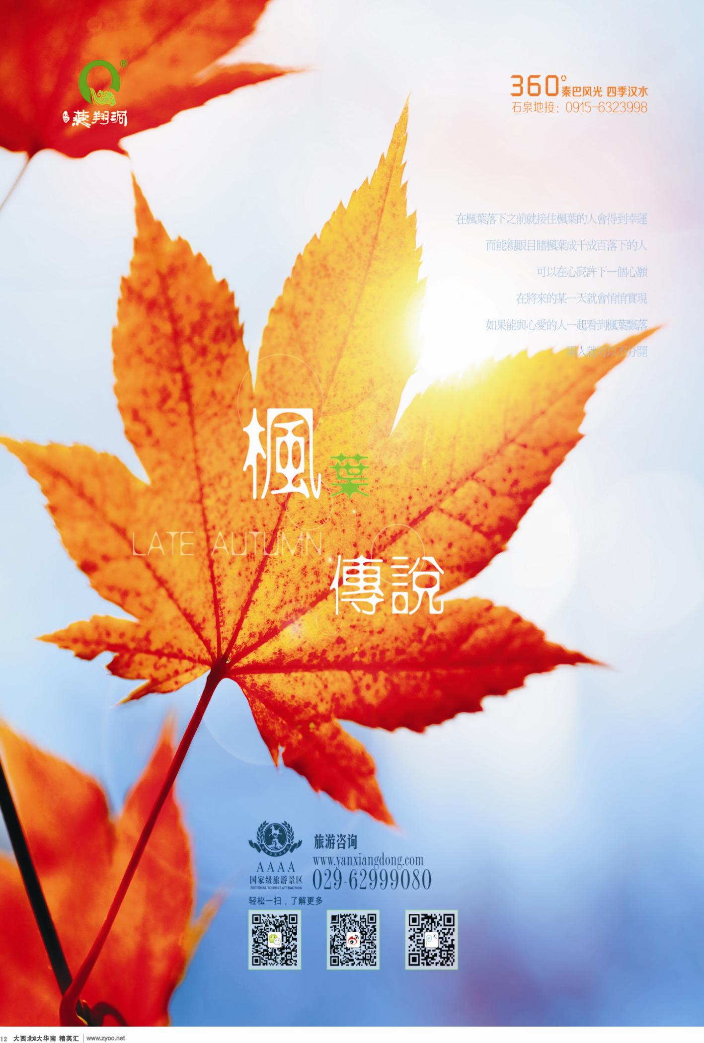 d12  仟佰众旅游公司