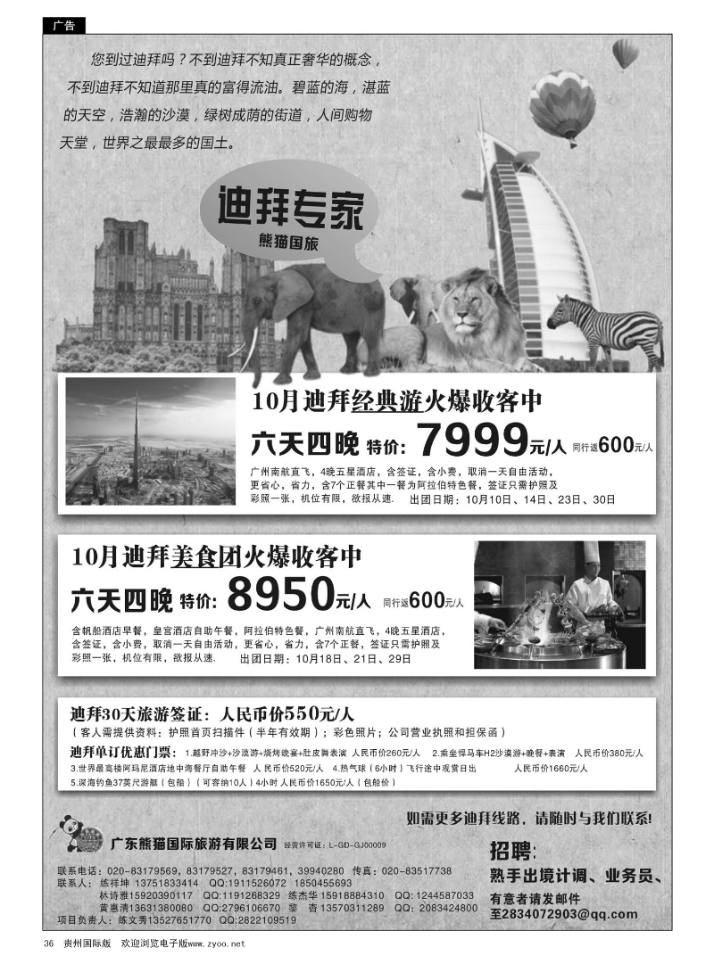 36  迪拜专家--熊猫国旅