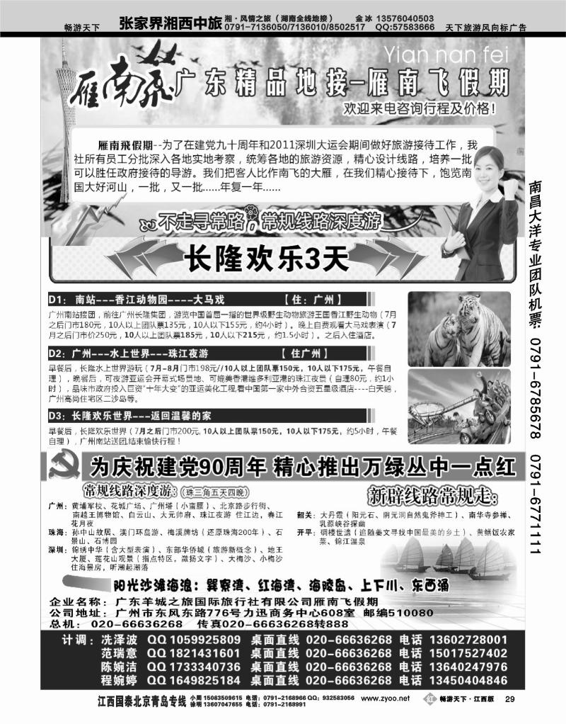 雁南飞
