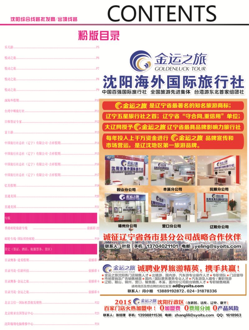 A-前插彩 6粉