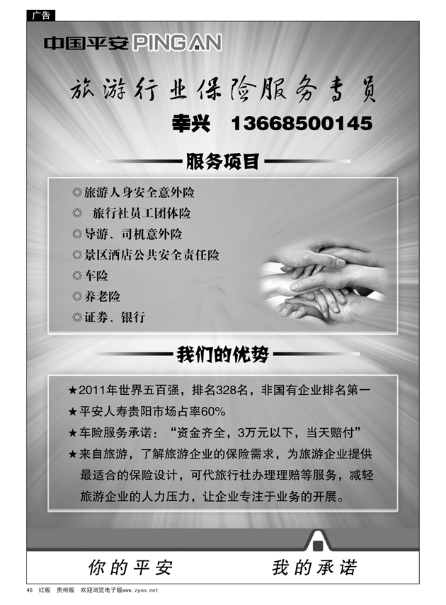46  中国平安--旅游行业保险服务专员