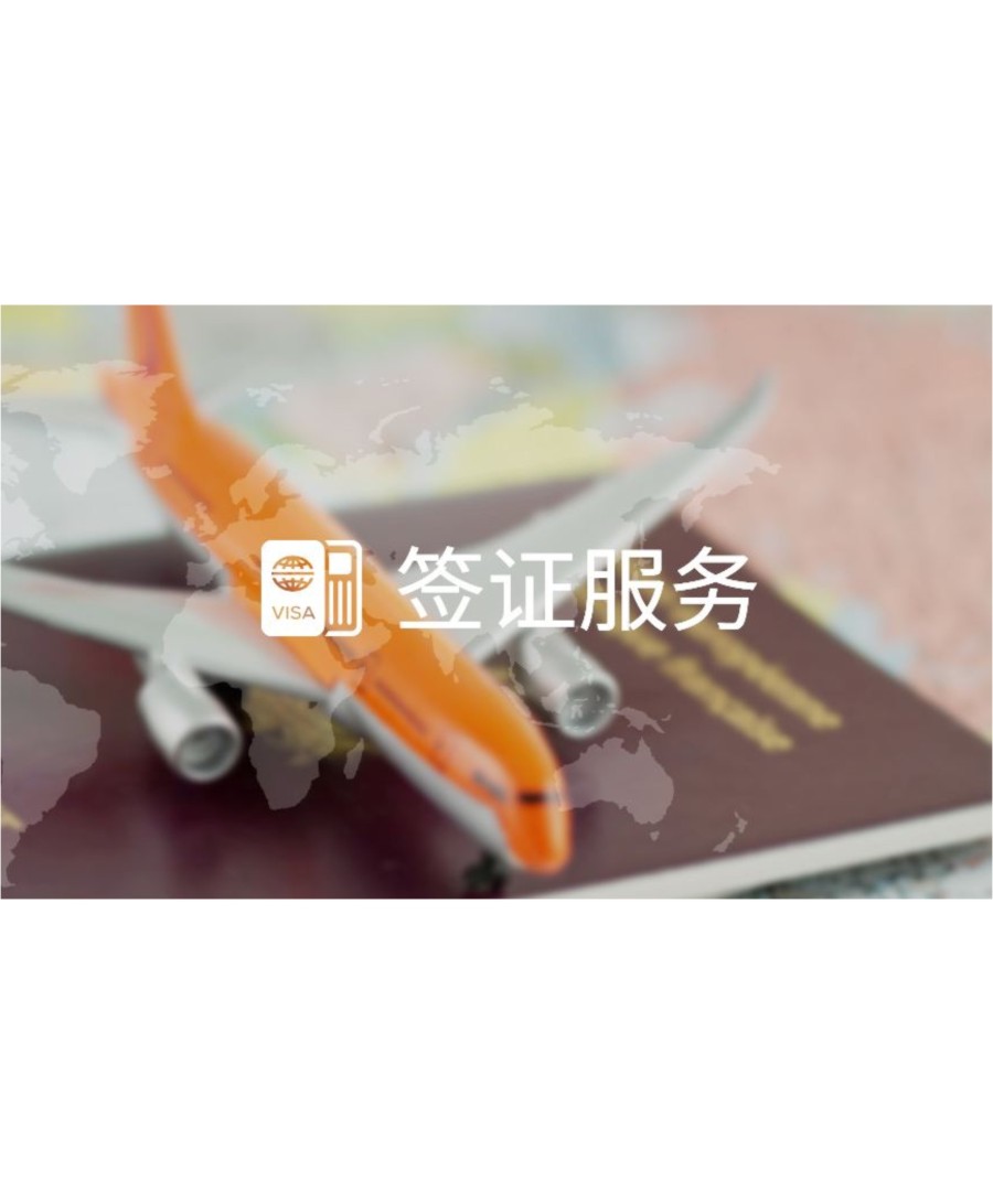 彩033  签证