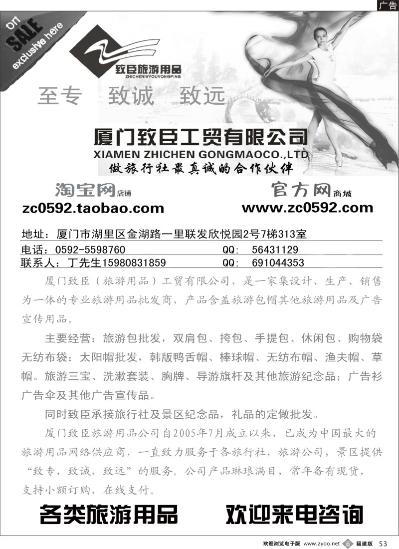 b53--厦门致臣工贸有限公司