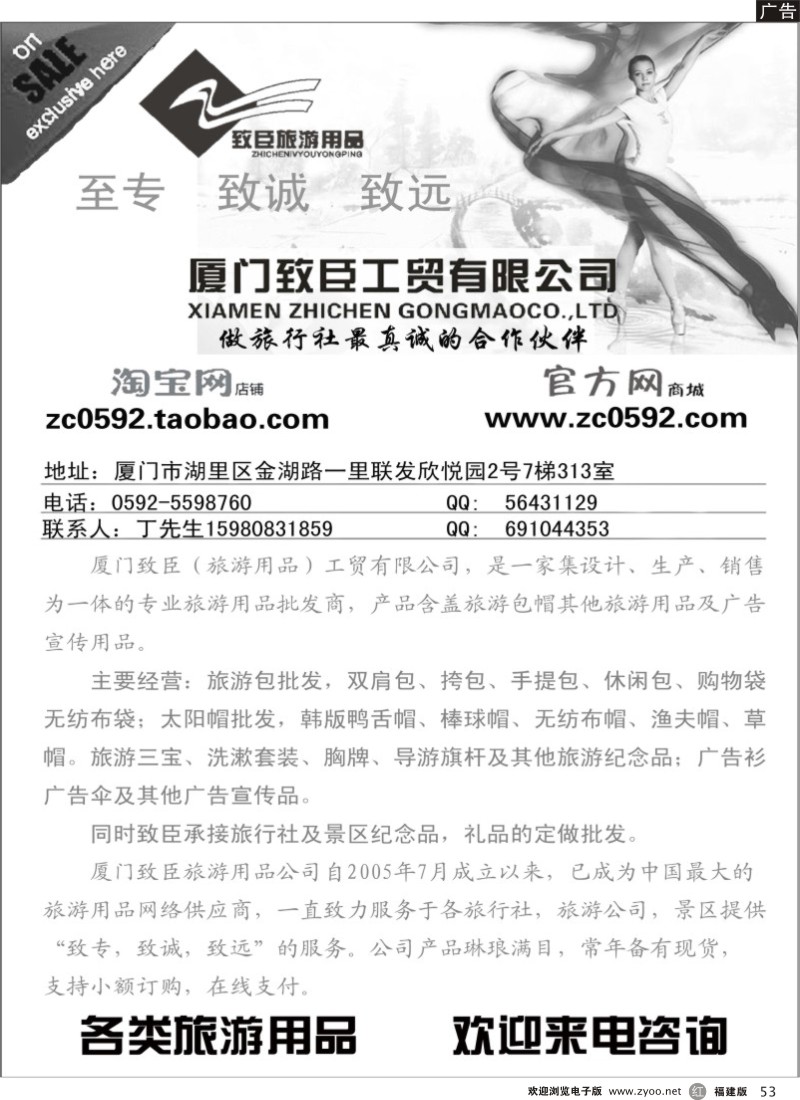 r53－厦门致臣工贸有限公司