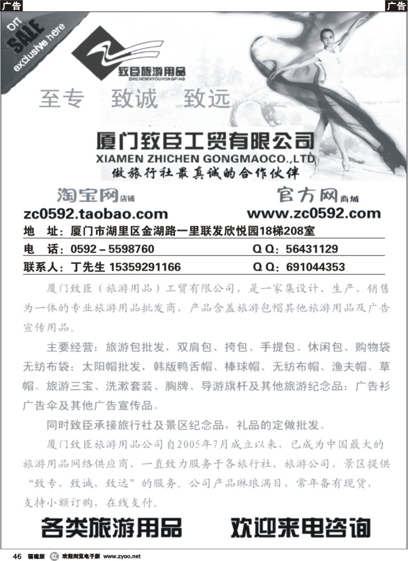 r46 厦门致臣工贸有限公司