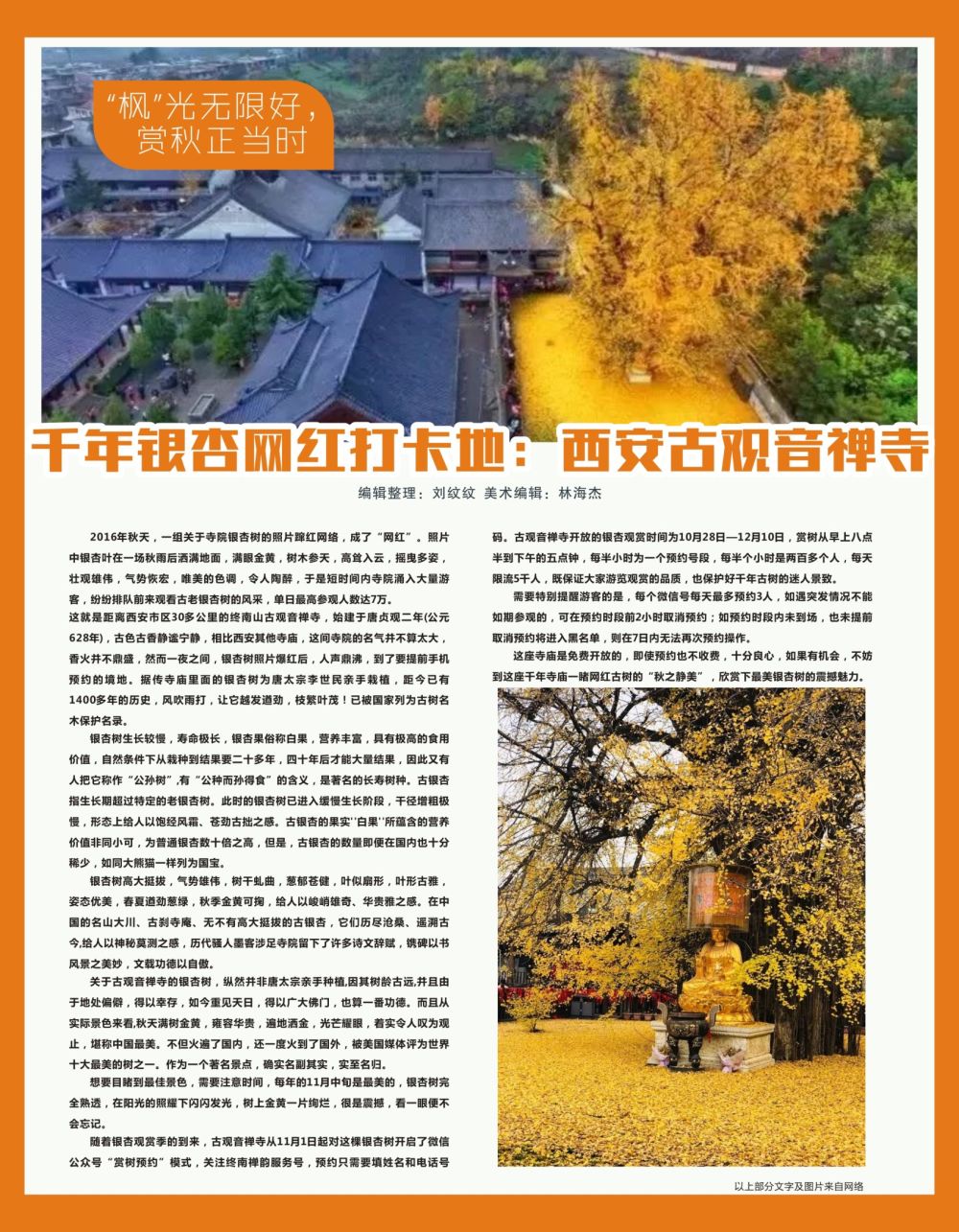 r红彩14 千年银杏网红打卡地：西安古观音禅寺