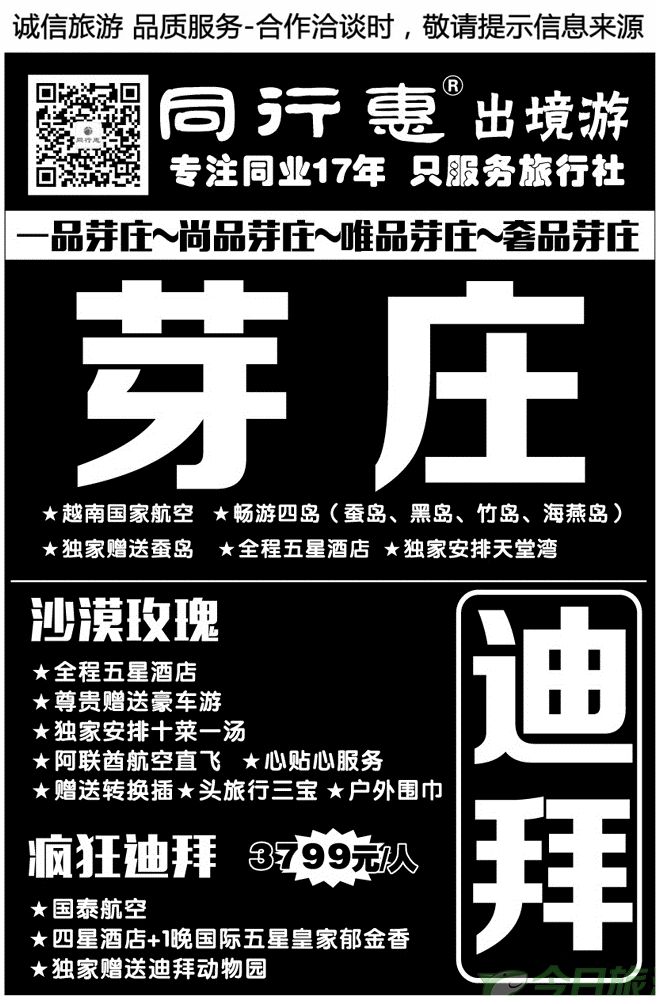 00365同行惠—迪拜行